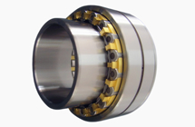 NIB Cylindrical Roller Bearing